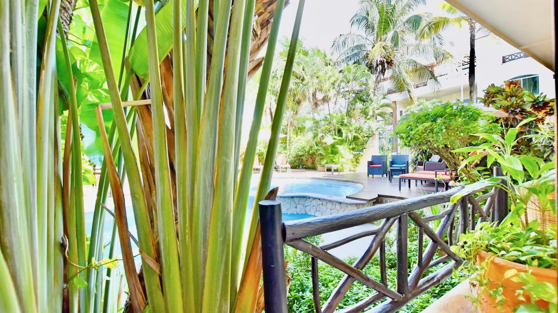 Riviera Del Sol Amazing Double Queen Junior Suite 304 Playa del Carmen Hotel